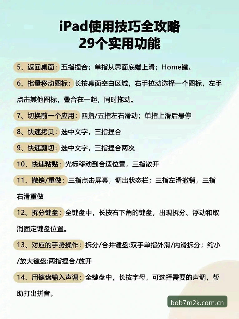 BOB平台使用技巧详解与极致娱乐体验指南